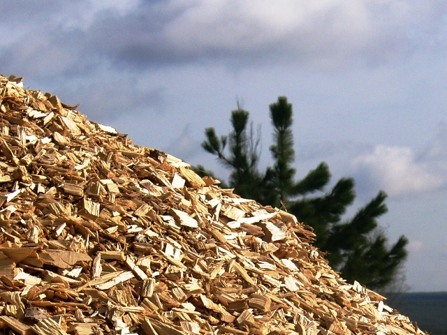 éclats de biomasse forestière