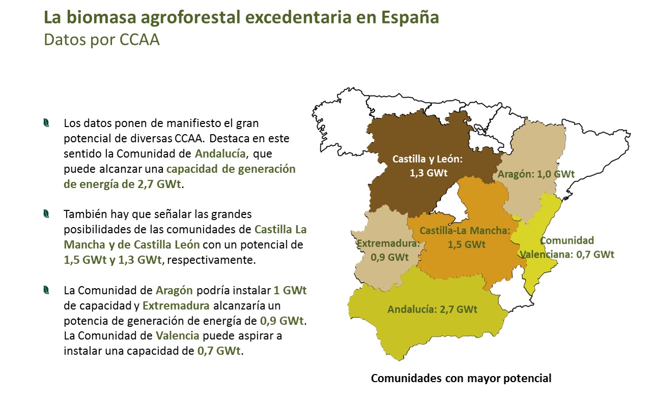 Biomassa agroflorestal excessiva na Espanha