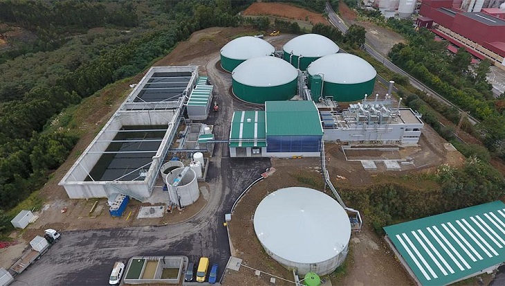 gaseificação de plantas de biogás