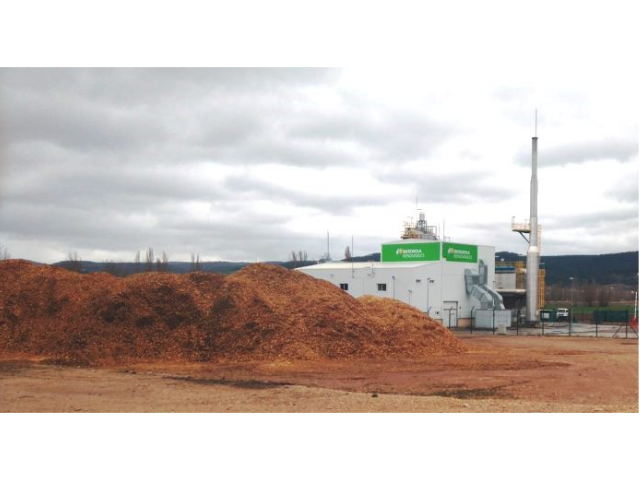 La biomassa fa fronte alle biomasse