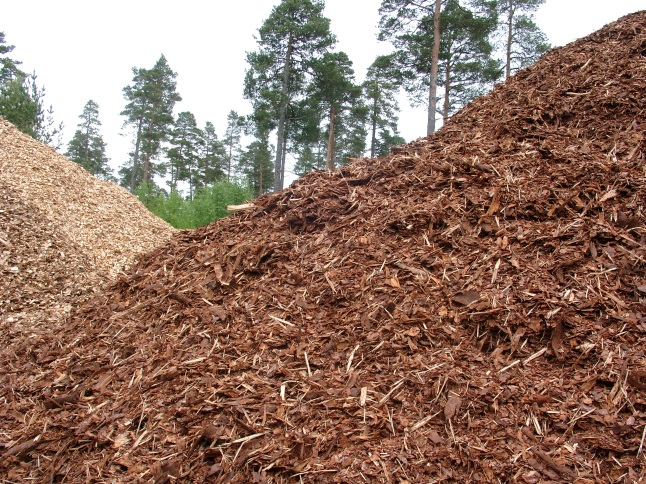 the biomass avoided in 2016 the emissions equivalent to those of 2.45 million cars