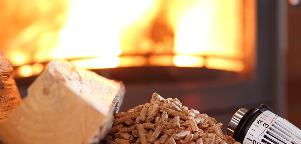 fogões a lenha de biomassa