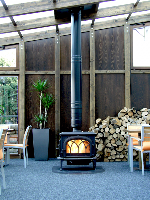 biomass firewood stove