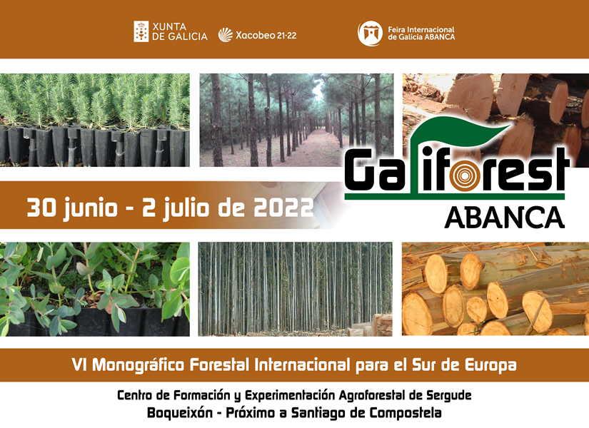 support à biomasse forestière