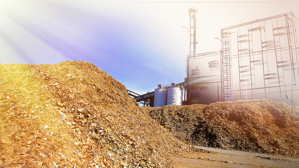 forstliche Biomassebewirtschaftung
